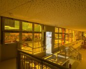 Lámina de Protección Solar Adorno Studio